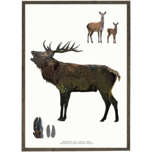 Stag - ART PRINT - CHOOSE SIZE