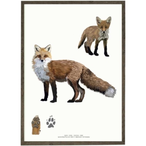 Fox - ART PRINT - CHOOSE SIZE