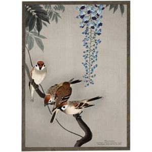 Tree Sparrows - ART PRINT - CHOOSE SIZE