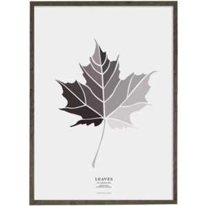 Norway Maple Leaf (grey) – ART PRINT - CHOOSE SIZE