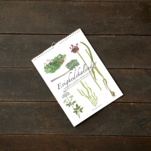 PERPETUAL CALENDAR A4 - Foraging tips in nature month by month - SOLD OUT