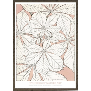 Leaves rose - ART PRINT - CHOOSE SIZE