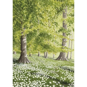 Spring forest - A5 single card