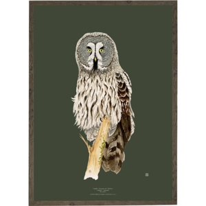 Great Grey Owl - ART PRINT - CHOOSE SIZE