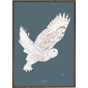 Snowy Owl - ART PRINT - CHOOSE SIZE
