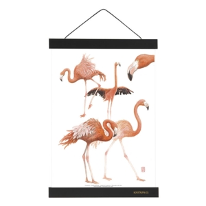 MAGNET RAIL A3 - Black