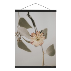 MAGNET RAIL B1 - Black