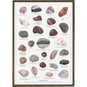 BEACH STONES - Poster A2