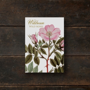 WILDROSEN - 8 cards (German)